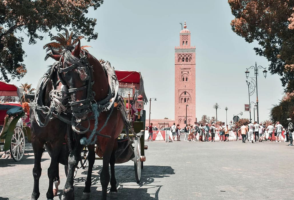 Calèche avec chevaux devant la mosquée Koutoubia, Marrakech