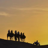 Quad & dromadaire - Coucher de soleil