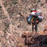 Excursion - Village berbère Imlil
