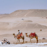 Quad & dromadaire - Journée complète