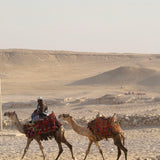 Quad & dromadaire - Journée complète