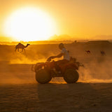 Quad & dromadaire - Coucher de soleil